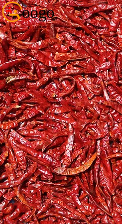 Dried Chillies